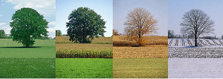 路透社：Embracer Group考虑出售Gearbox娱乐